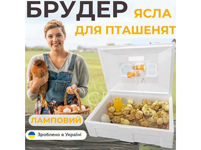 Брудер Теплуша для цыплят, бройлеров, перепелов, индюков (ясли) - Фото NaN