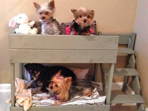 Будка для собаки 'Галикос' маренго