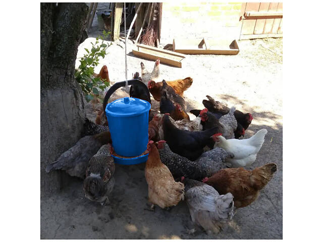 Бункерна годівниця для птахів на 10 літрів Синій - Фото 2