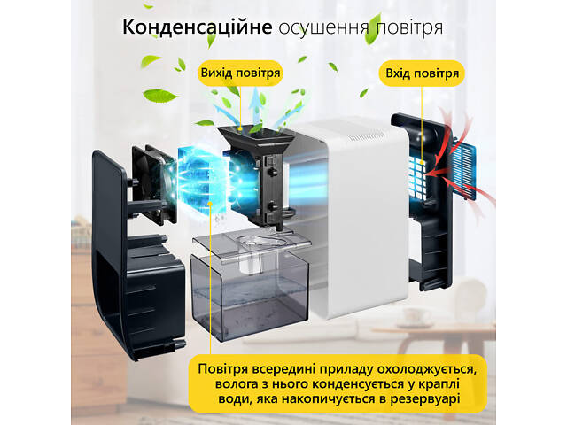 Побутовий осушувач повітря Doctor-101 LEVANTE на 1,2 л. Безшумний вологопоглинач з підсвічуванням для квартири - Фото 3