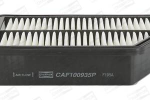 CAF100935P (Champion)