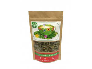 Чай Глід – природная поддержка для сердца и сосудов. Растение Карпат.