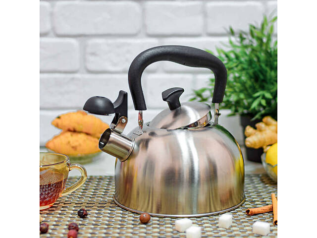 Чайник со свистком A-Plus AP-1373 2 л серебристый - Фото 1