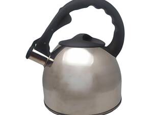 Чайник со свистком Aureti AU-602-1 2.5 л серебристый