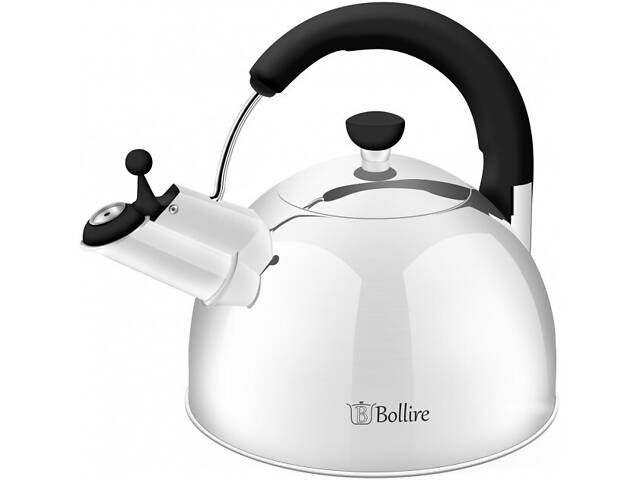 Чайник зі свистком Bollire BR-3007 2.5 л сріблястий - Фото 1