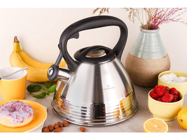 Чайник зі свистком Edenberg EB-8828 3 л - Фото 1