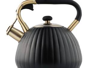 Чайник со свистком Empire Модерн EM-7726 3 л черный