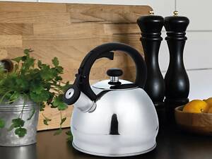 Чайник со свистком Gusto Гарсон GT-1425-18 1.8 л серебристый