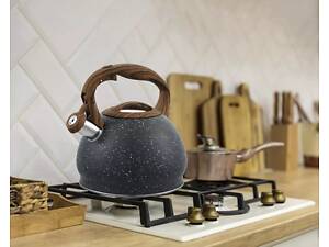 Чайник со свистком Gusto Пират GT-1411-30 3 л