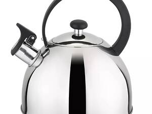 Чайник со свистком Gusto Silver GT-1410-20 2 л серебристый