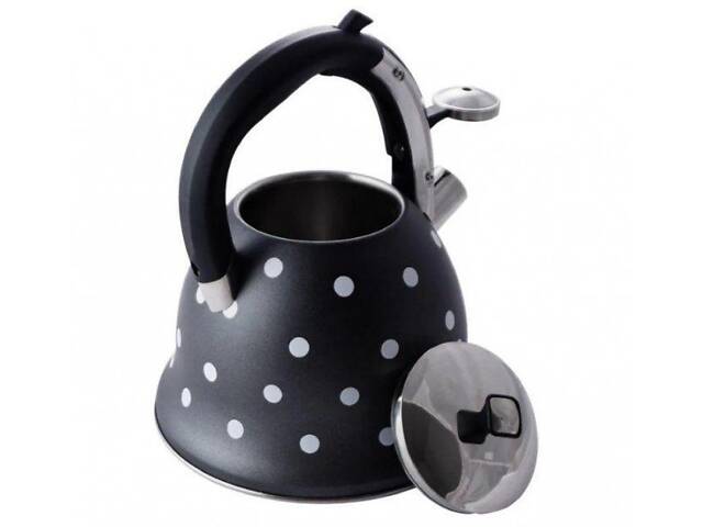 Чайник со свистком Kamille KM-1099 2.5 л - Фото 2