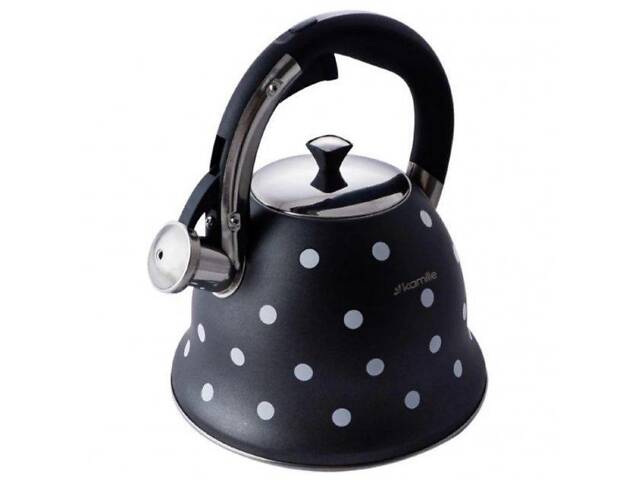 Чайник со свистком Kamille KM-1099 2.5 л - Фото 3