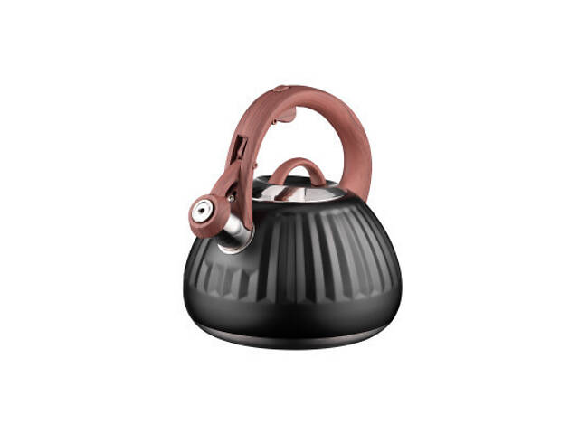 Чайник Ardesto Gemini 2.5 л Чорний (AR1958KS) - Фото 1