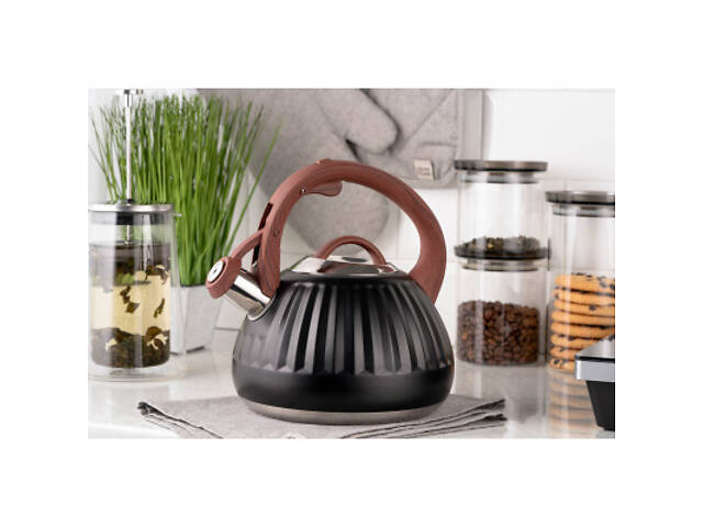 Чайник Ardesto Gemini 2.5 л Чорний (AR1958KS) - Фото 8