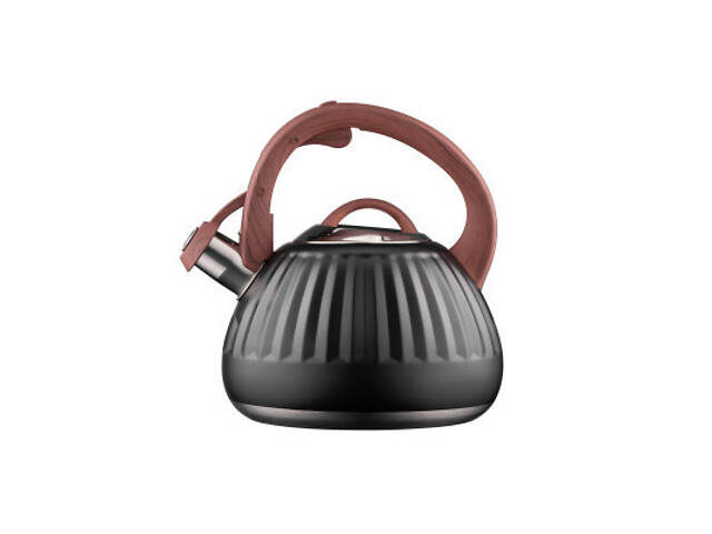 Чайник Ardesto Gemini 2.5 л Чорний (AR1958KS) - Фото 9