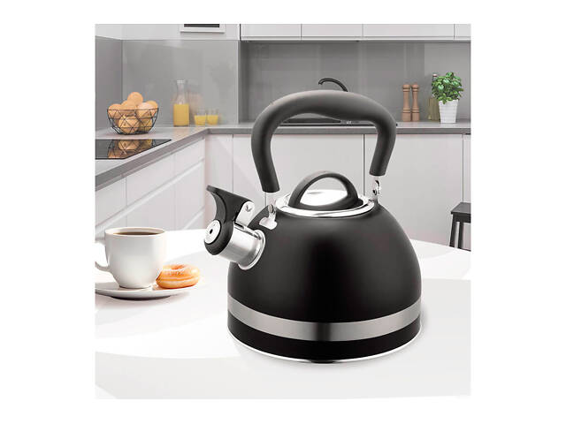Чайник нержавеющий Maestro 1.8л черный (MR-1336-BLACK) - Фото 5
