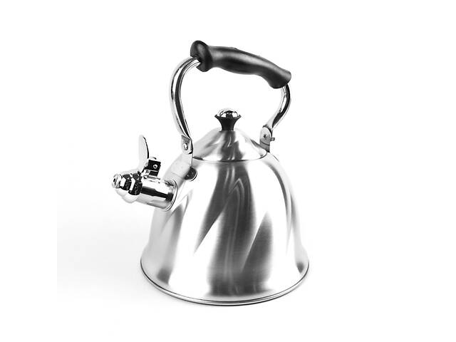 Чайник з нержавіючої сталі 3 л Maestro MR-1305 - Фото 1