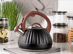 Чайник із свистком Ardesto Gemini AR-1958-KS 2.5 л чорний