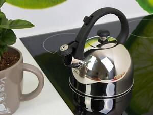 Чайник со свистком Edenberg EB-1971 1.5 л