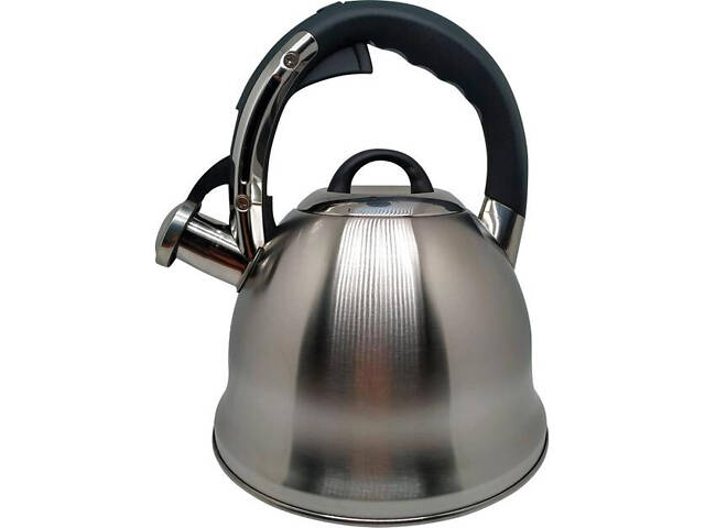 Чайник із свистком Krauzer Palladium KR-78414 3 л сріблястий - Фото 1