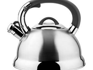 Чайник зі свистком Vinzer Bern VZ-50014 2.7 л