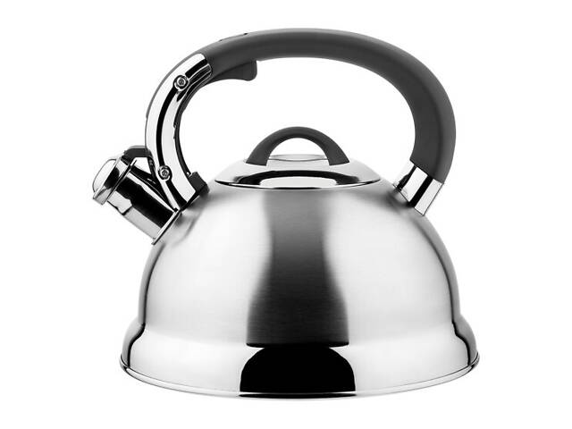 Чайник зі свистком Vinzer Bern VZ-50014 2.7 л - Фото 1