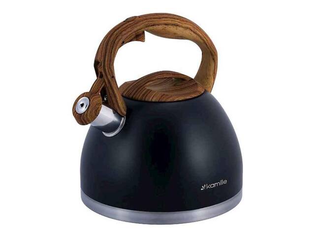 Чайник со свистком нержавеющий 2.7 литра 1087 'KAMILLE' - Фото 1