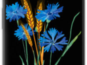 Чехол на Google Pixel 4 XL Ukraine v2 '5445sp-1754'