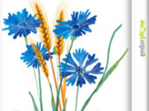 Чехол на Huawei Nova 3i Ukraine v2 '5445m-1541'