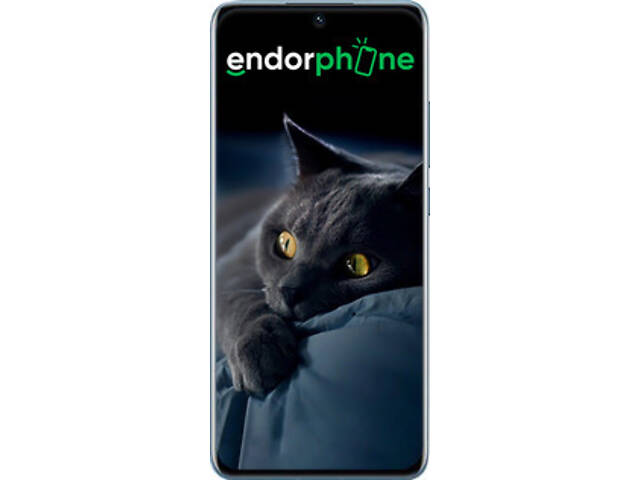 Чехол на Xiaomi 12 Дымчатый кот '825u-2555' - Фото 2