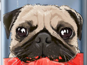 Чехол на ZTE Blade A31 Plus Мопс и арбуз '4665u-2637'