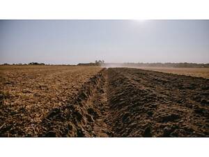 Чорнозем український