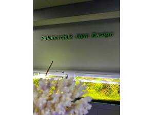 Чистка,обслуговування, сервіс акваріумів