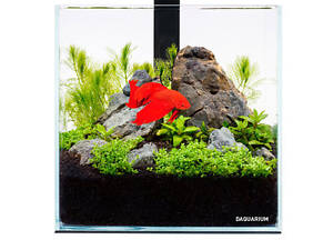 Collar Аквариумный комплект Collar Pico Set 5 л, 17х17х17см