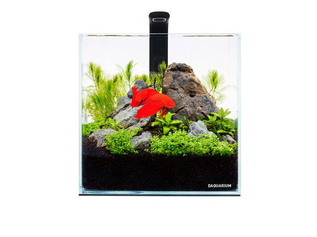 Collar Аквариумный комплект Collar Pico Set 5 л, 17х17х17см - Фото 1