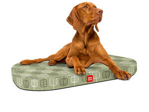 Нашийник Лежанка для собак Collar WAUDOG Relax, зі змінним чохлом, малюнок Зелене листя M 80 х 55 см