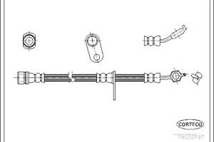 CORTECO 19032197