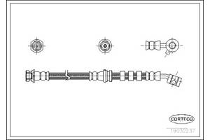 CORTECO 19032237