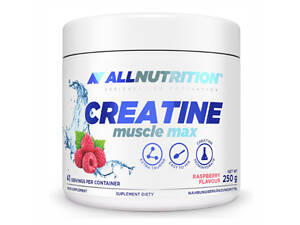 Creatine Muscle Max - 250g Cola
