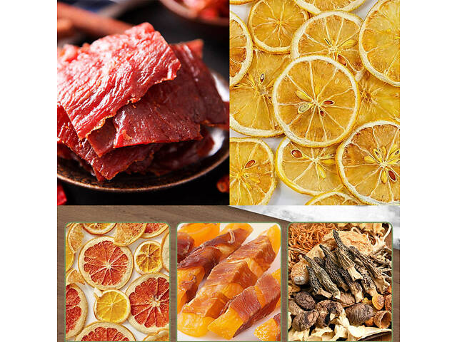 Дегідратор сушіння фруктів овочів 400 Вт з 10 секціями з нержавійки для приготування сухофруктів та овочевих чипсів у домашніх - Фото 6