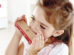 Деревянная гармоника Hape Блюз (E0616)