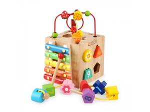 Деревянная игрушка Tree Toys Центр развивающий MD-0821