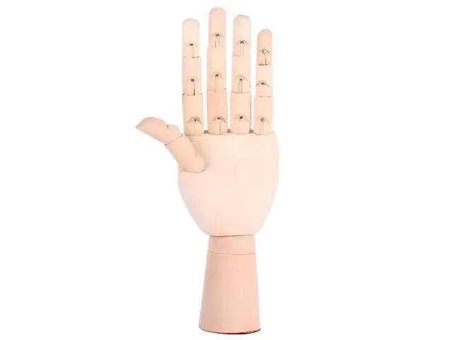 Деревянная рука манекен RESTEQ 25 см (женская) — модель для рисования, витрин и демонстрации товаров - Фото 3