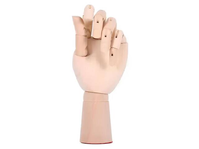 Деревянная рука манекен RESTEQ 25 см (женская) — модель для рисования, витрин и демонстрации товаров - Фото 5