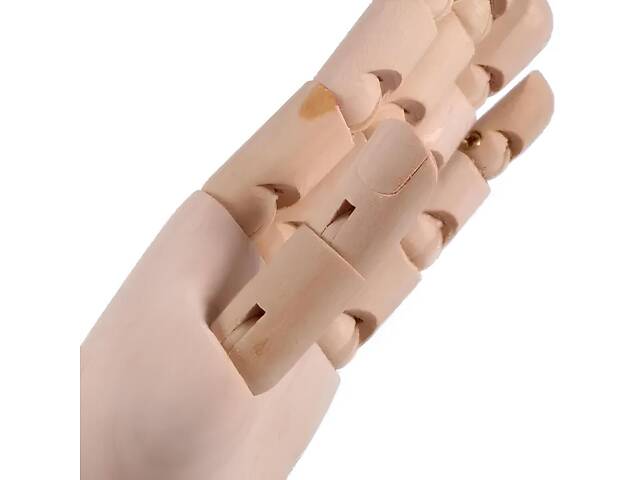 Деревянная рука манекен RESTEQ 25 см (женская) — модель для рисования, витрин и демонстрации товаров - Фото 6