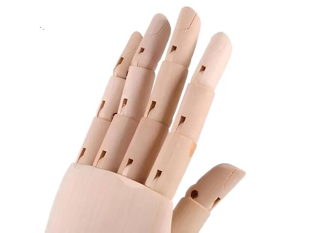 Деревянная рука манекен RESTEQ 25 см (женская) — модель для рисования, витрин и демонстрации товаров - Фото 7
