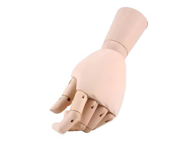 Деревянная рука манекен RESTEQ 25 см (женская) — модель для рисования, витрин и демонстрации товаров - Фото 8