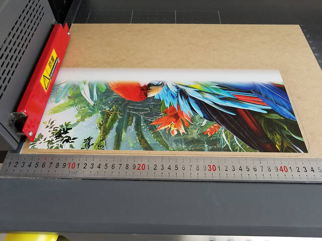 Дерев'яний пазл з підставкою Папуга Ара 150 з підставкою 42х33 см - Фото 6