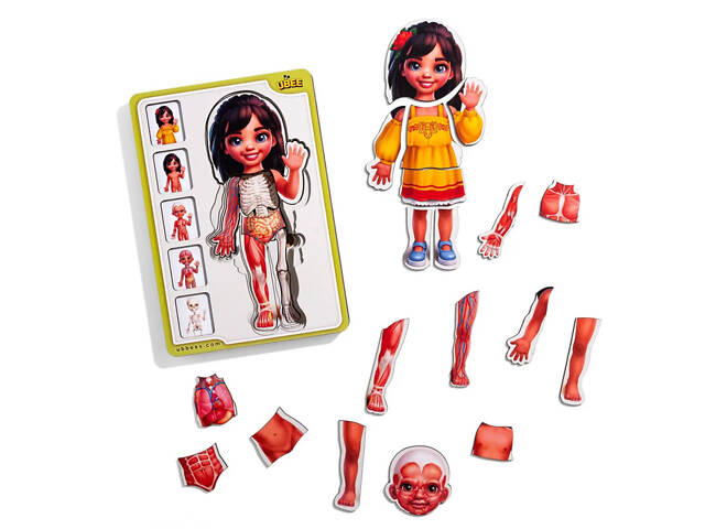 Деревянный пазл-вкладыш 'Анатомия человека - девочка-2' (ПСД263) PSD263 строение тела