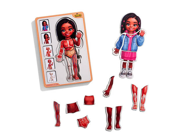 Деревянный пазл-вкладыш 'Анатомия человека - девочка-3' (ПСД264) PSD264 строение тела